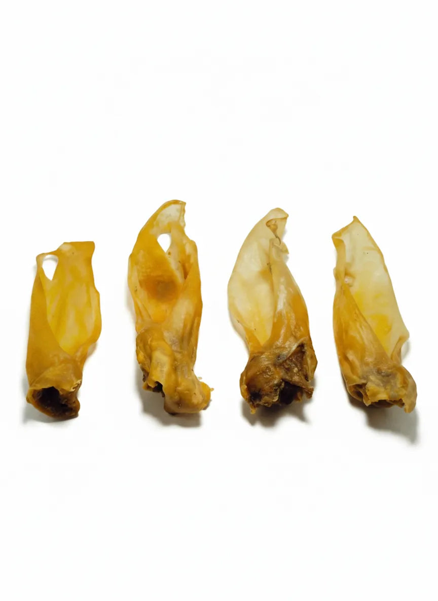 Lammohren