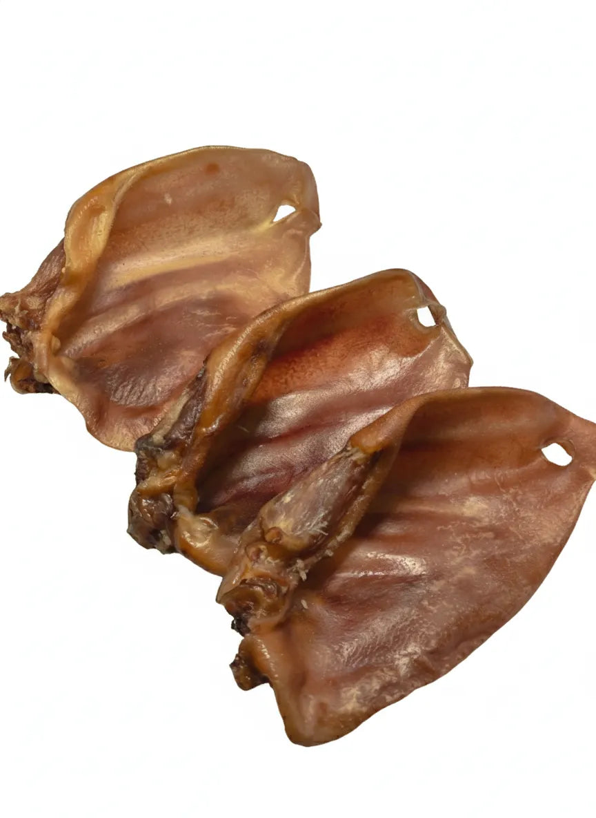 10x Schweineohren