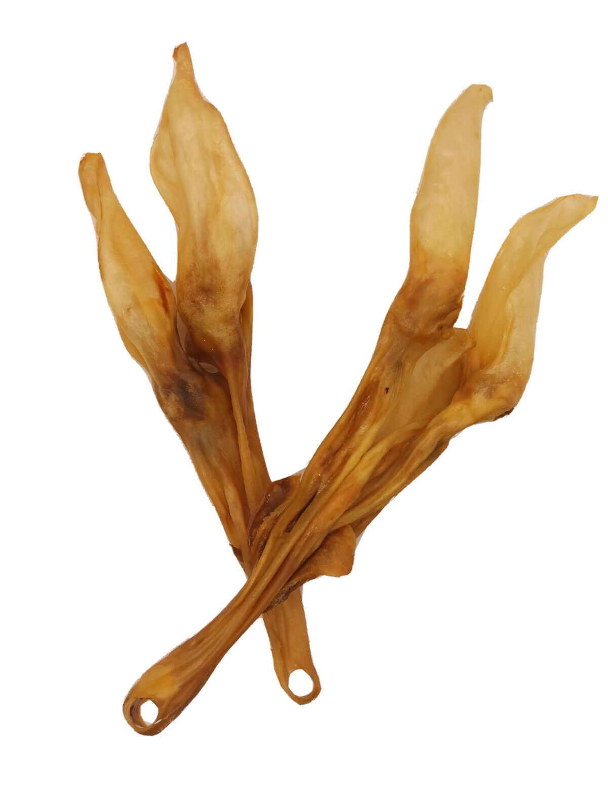 Lammohren mit Kopfhaut