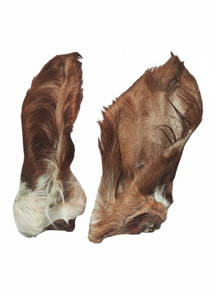 Rinderohren mit Fell und Muschel