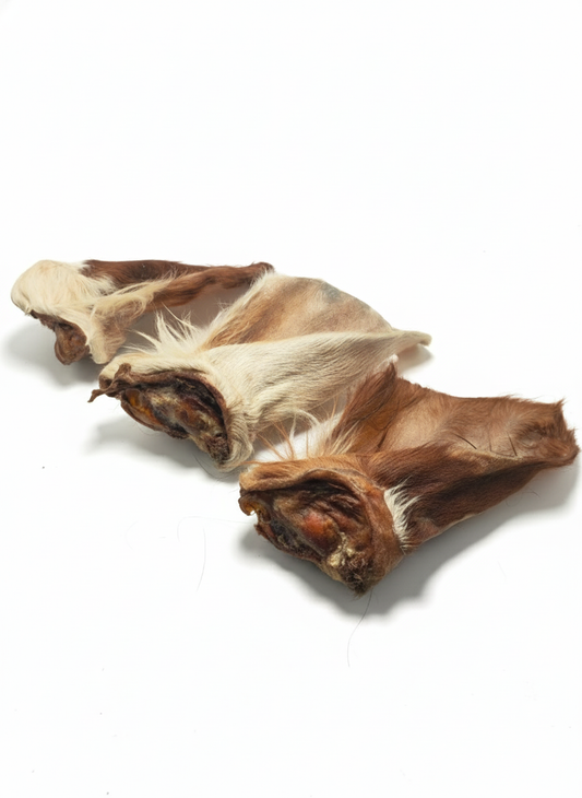 Rinderohren mit Fell und Muschel