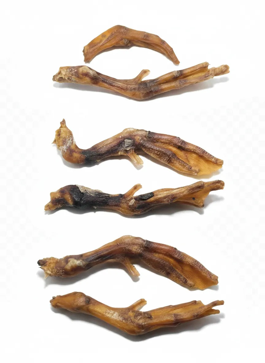 Entenfüße