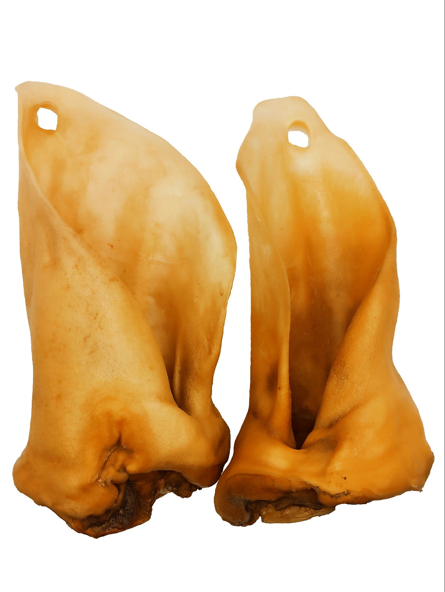 Rinderohren mit Muschel