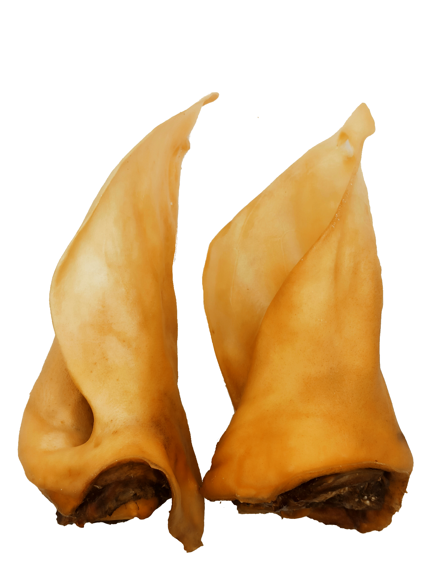 Rinderohren mit Muschel