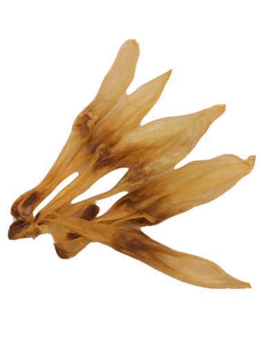 Kaninchenohren