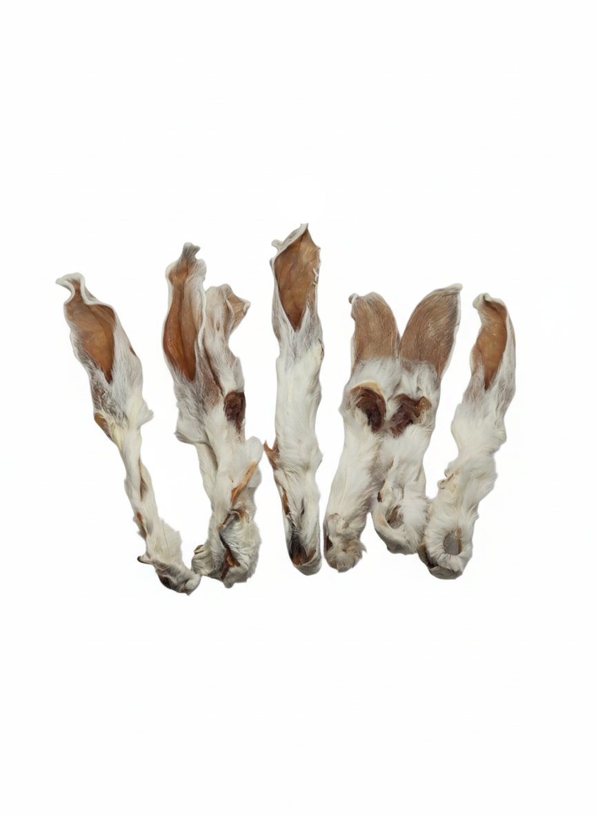 Kaninchenohren mit Fell