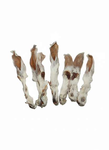 Kaninchenohren mit Fell