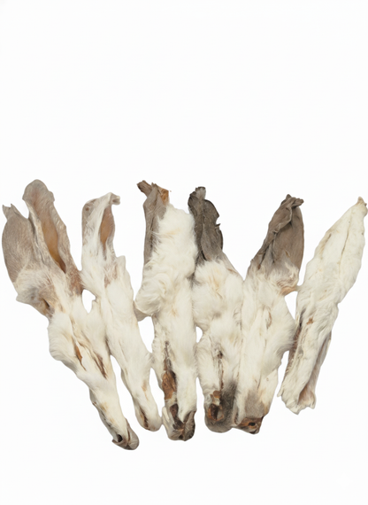 Kaninchenohren mit Fell