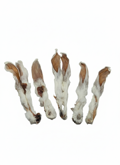 Kaninchenohren mit Fell