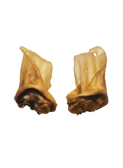 Rinderohren mit Muschel