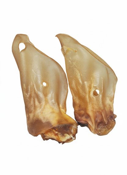 Rinderohren mit Muschel