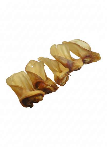 Rinderohren mit Muschel