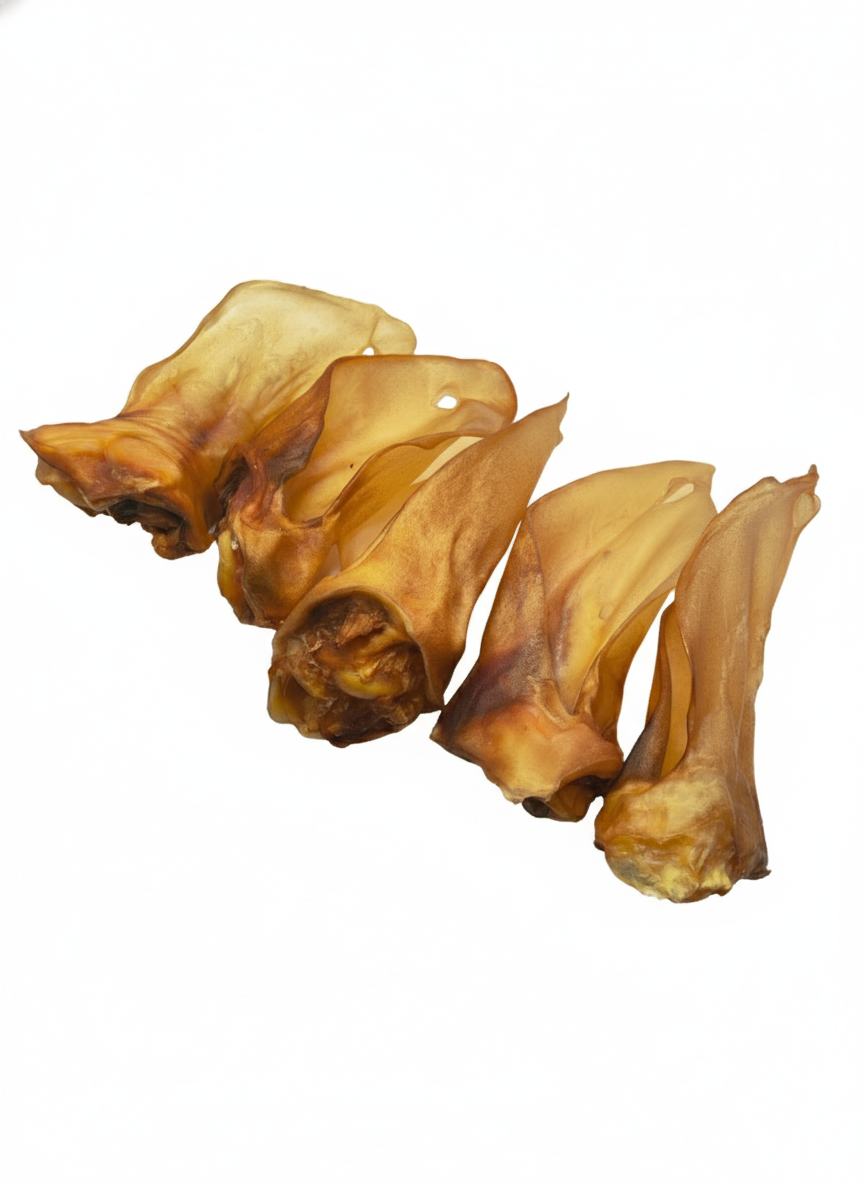 Rinderohren mit Muschel