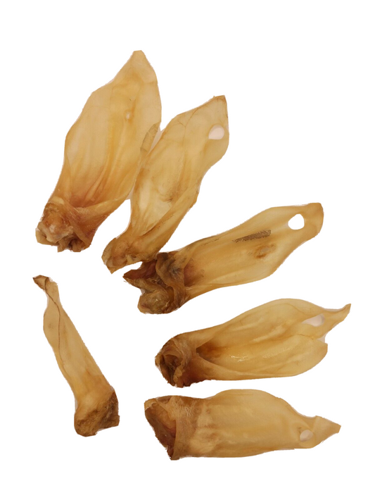 Lammohren
