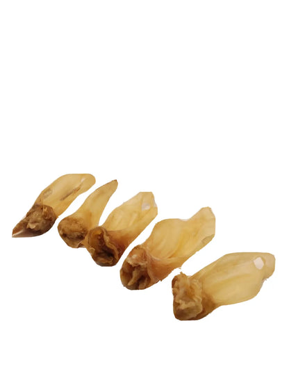 Lammohren