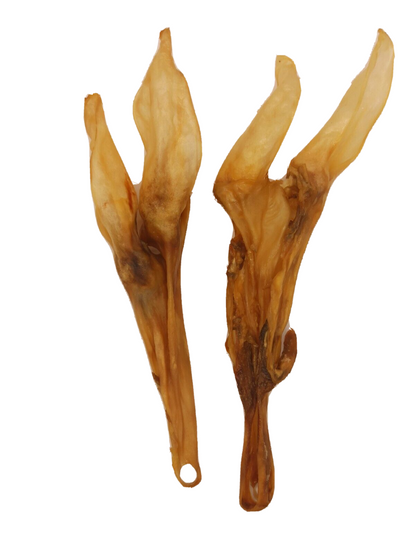 Lammohren mit Kopfhaut